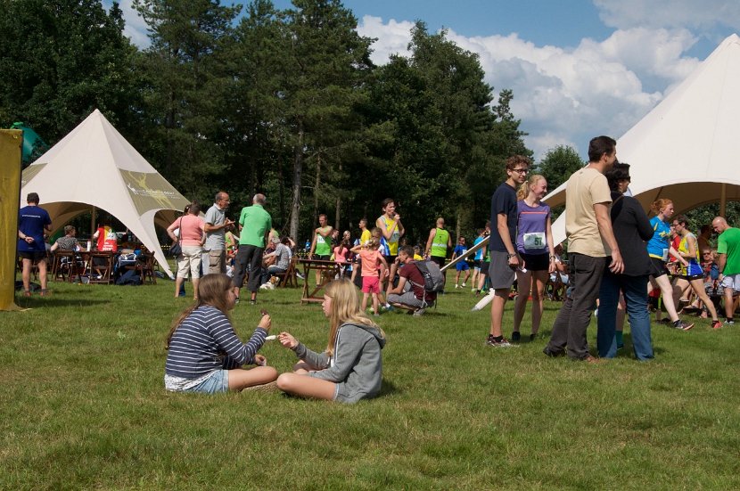Estafette 2016 IV - 302